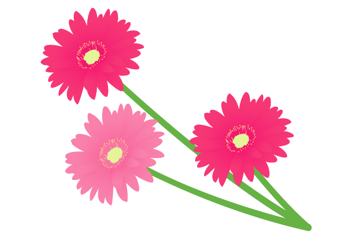 ガーベラ Gerbera の花 無料のフリーイラスト素材集