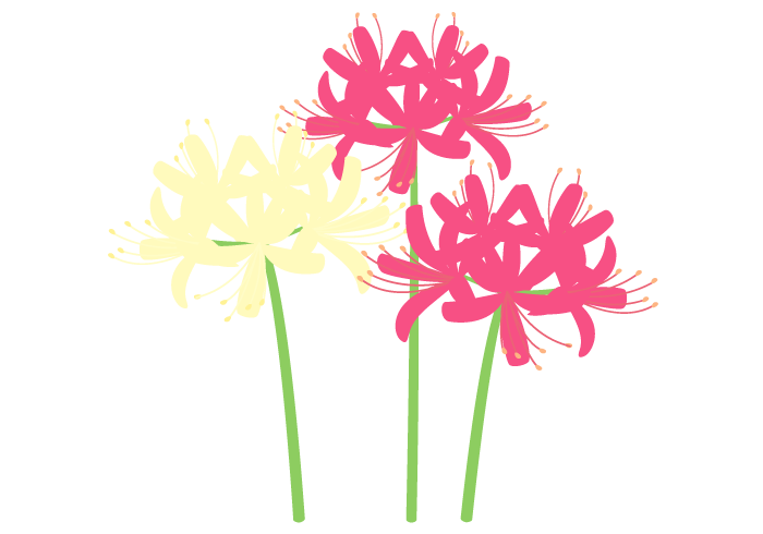 ヒガンバナ 彼岸花 の花 無料のフリーイラスト素材集