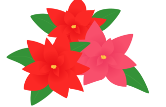 赤い花の検索結果 イラスト緑花 Ryokka