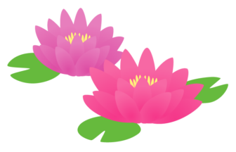 Water Liliesの検索結果 イラスト緑花 Ryokka