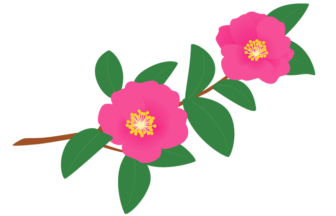 冬の花の検索結果 イラスト緑花 Ryokka