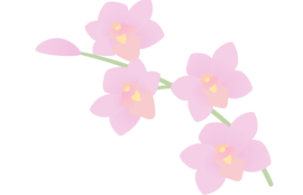 洋風の花の検索結果 イラスト緑花 Ryokka