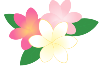 南国の花の検索結果 イラスト緑花 Ryokka