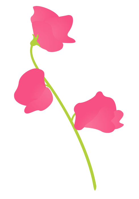 スイートピーの花～無料のフリーイラスト素材集