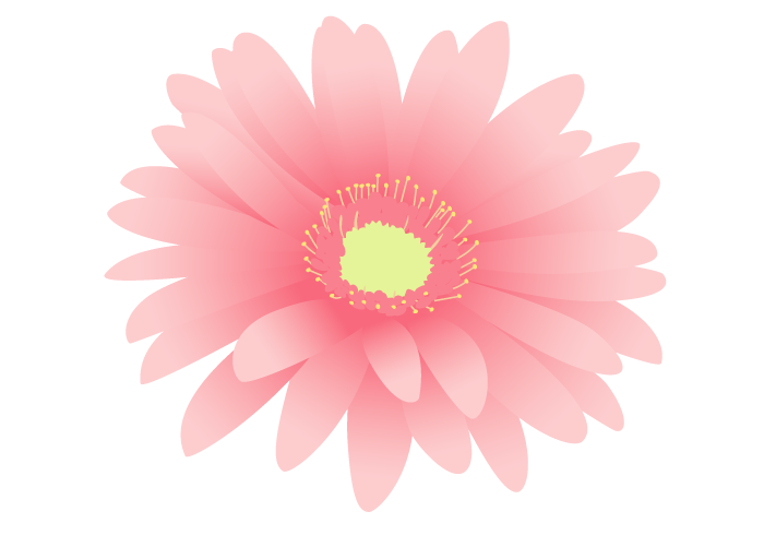 ガーベラの花 かわいい無料のフリーイラスト素材集