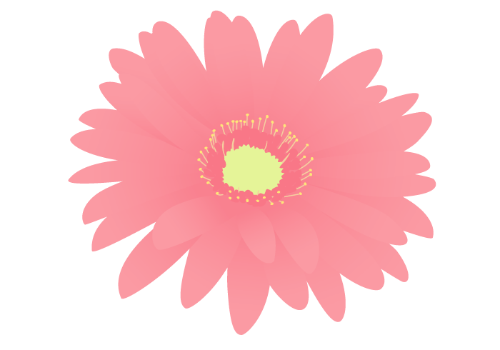 ガーベラの花 かわいい無料のフリーイラスト素材集
