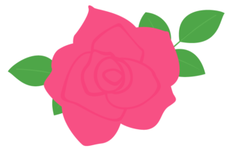 ピンク色のバラ（薔薇）