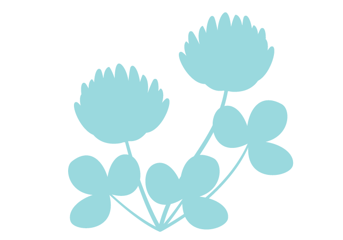 シロツメクサ 白詰草 の花 かわいい無料のフリーイラスト素材集