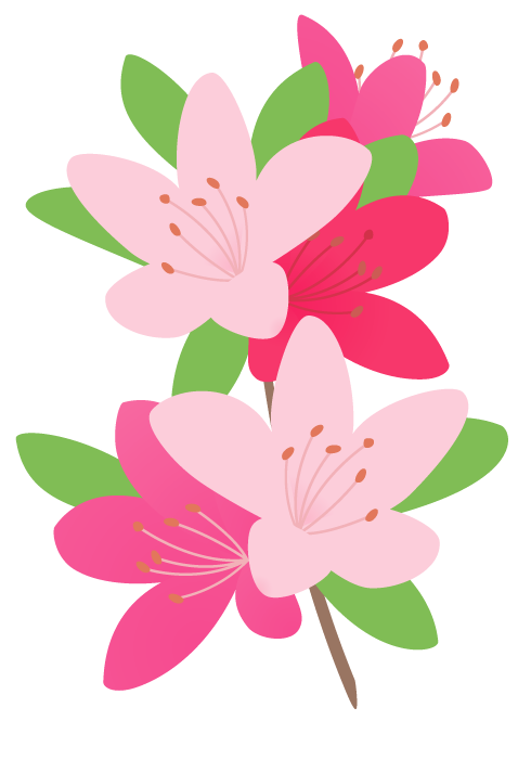 ツツジ 躑躅 の花 かわいい無料のフリーイラスト素材集