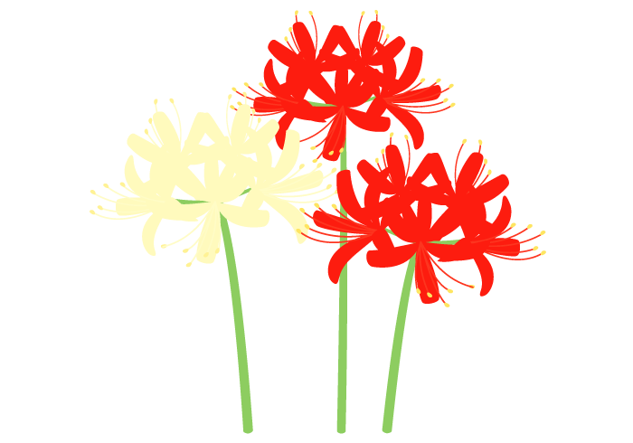 ヒガンバナ 彼岸花 の花 高品質な無料のフリーイラスト素材集
