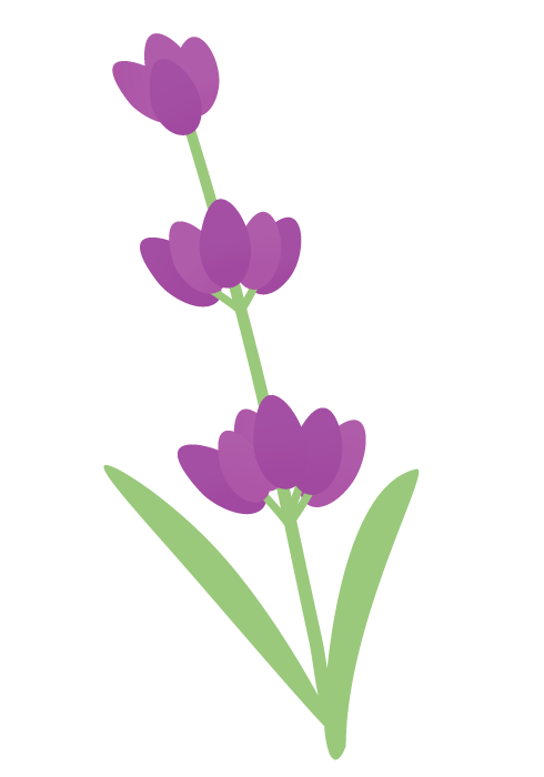ラベンダーの花～かわいい無料のフリーイラスト素材集