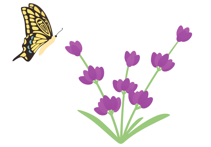 ラベンダー Lavender の花 無料のフリーイラスト素材集