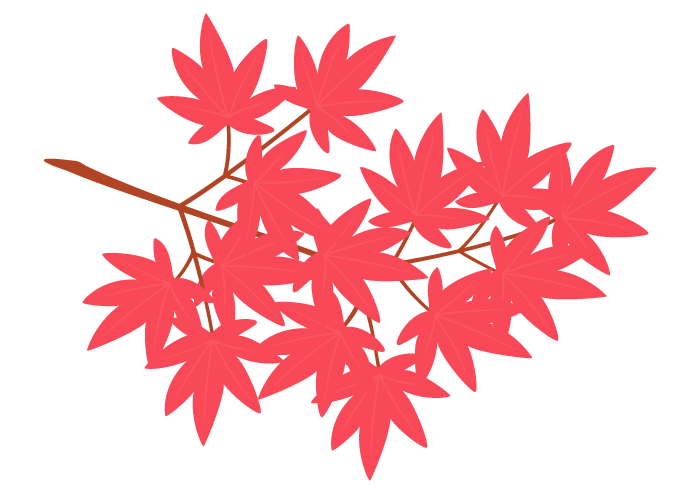 カエデ 楓 の紅葉 かわいい無料のフリーイラスト素材集