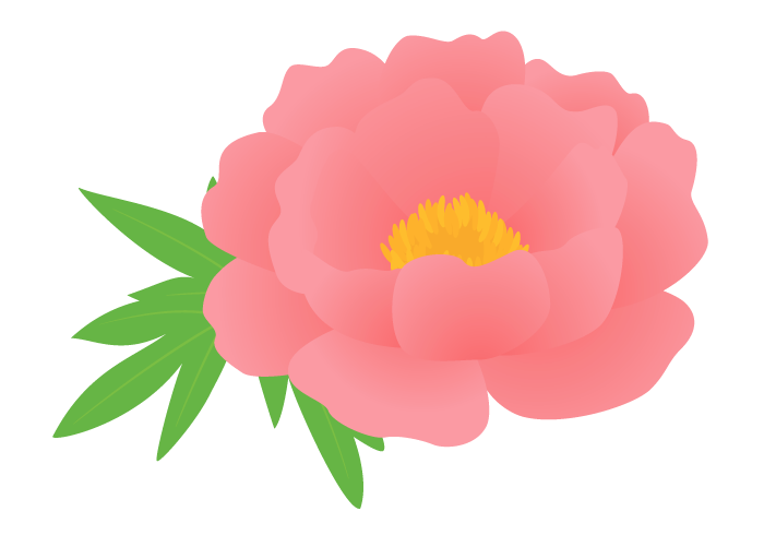 ボタン・シャクヤク（牡丹・芍薬）の花～無料のフリーイラスト素材集