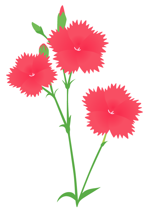 ナデシコ 撫子 の花 かわいい無料のフリーイラスト素材集