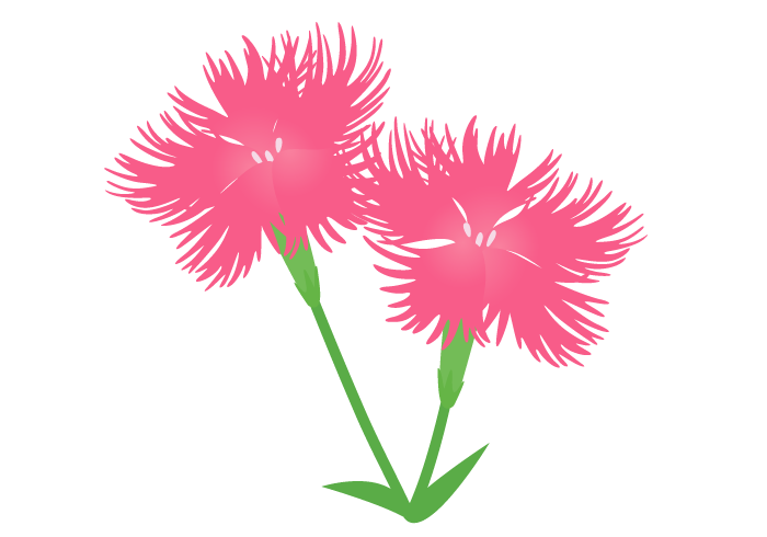 ナデシコ 撫子 の花 かわいい無料のフリーイラスト素材集