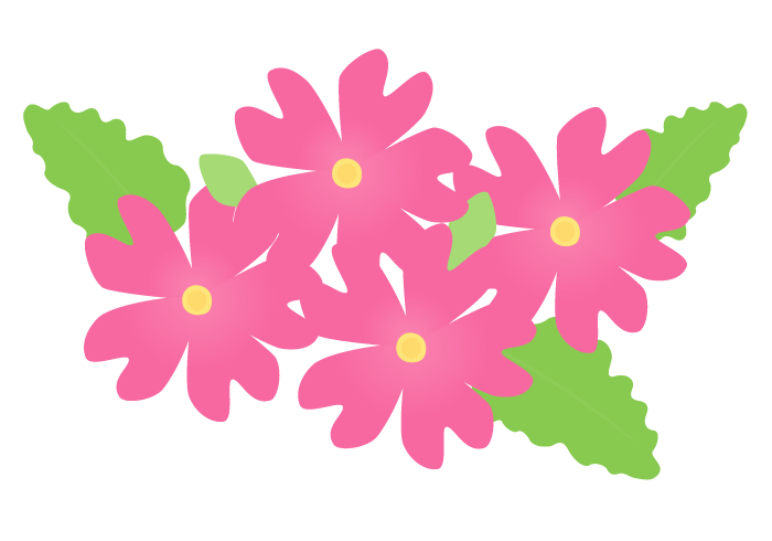 サクラソウ 桜草 の花 かわいい無料のフリーイラスト素材集