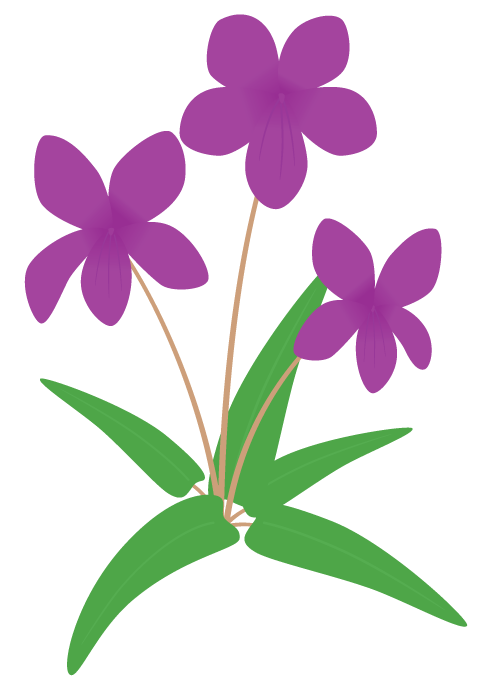 スミレ 菫 の花 かわいい無料のフリーイラスト素材集