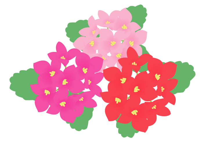 カランコエの花 かわいい無料のフリーイラスト素材集