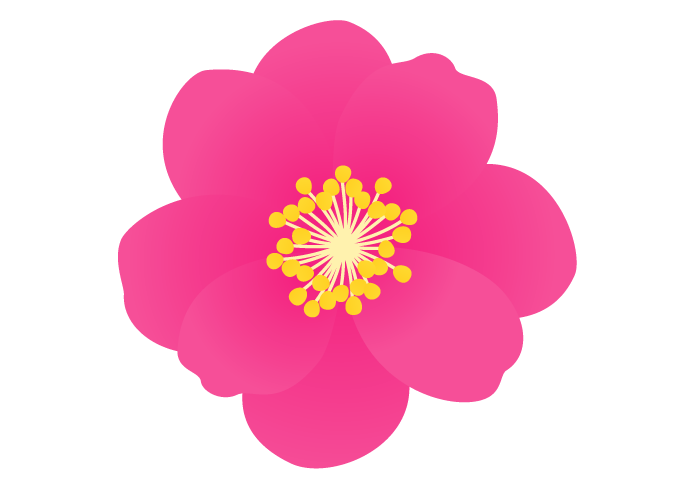サザンカ 山茶花 の花 かわいい無料のフリーイラスト素材集
