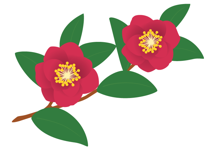 サザンカ 山茶花 の花 かわいい無料のフリーイラスト素材集