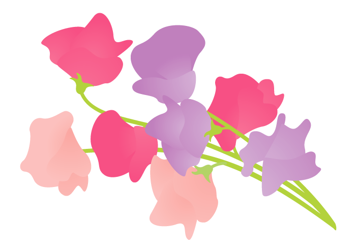 スイートピーの花 かわいい無料のフリーイラスト素材集