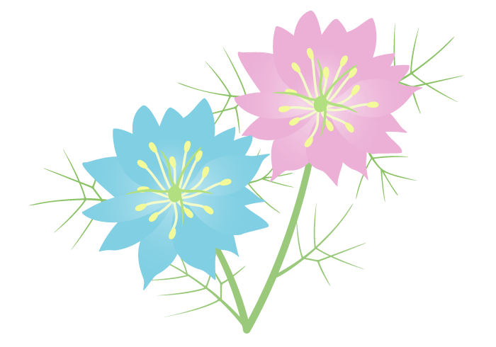 ニゲラの花 かわいい無料のフリーイラスト素材集
