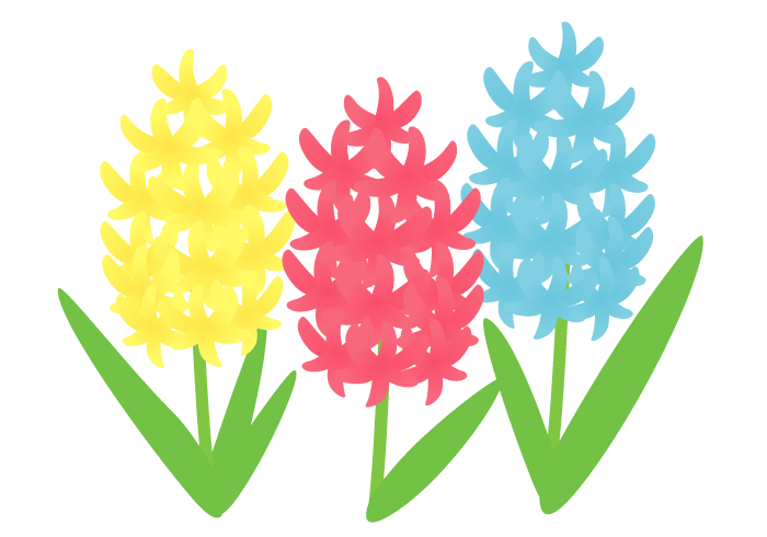 ヒヤシンスの花 かわいい無料のフリーイラスト素材