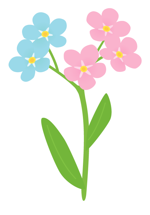 ワスレナグサの花 無料のフリーイラスト素材集