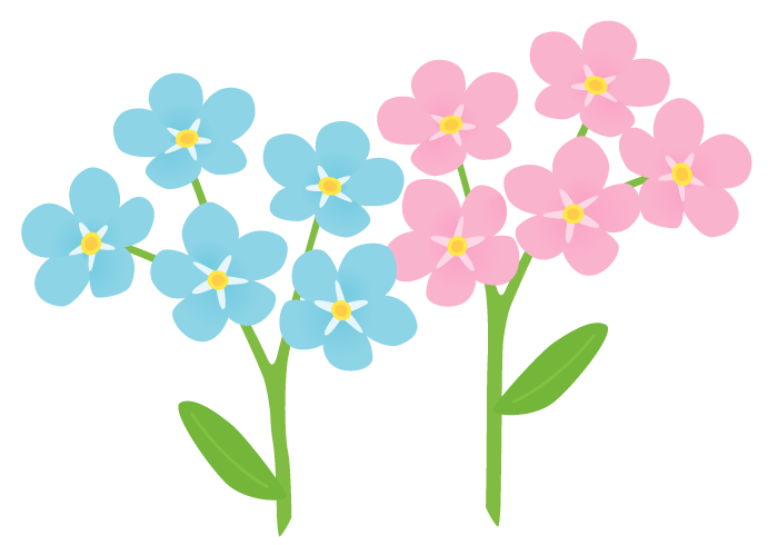 ワスレナグサの花 無料のフリーイラスト素材集
