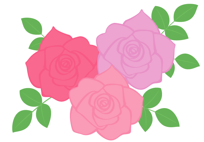 バラ 薔薇 の花 かわいい無料のフリーイラスト素材集