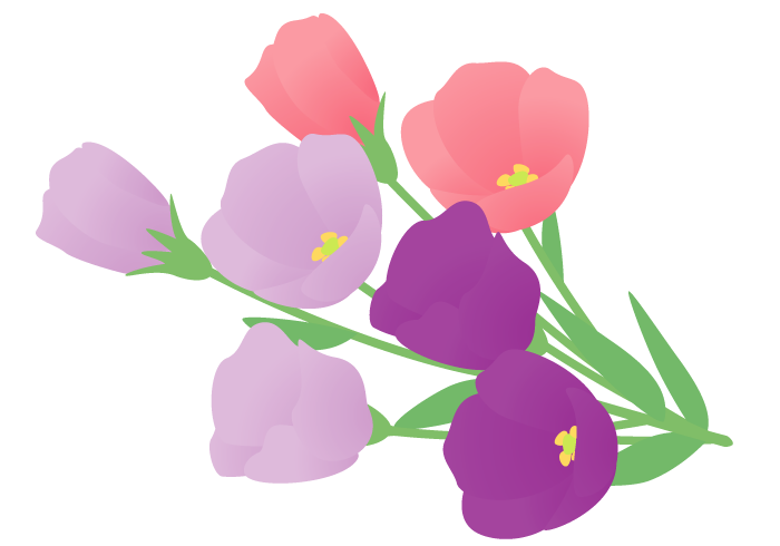 トルコギキョウの花 かわいい無料のフリーイラスト素材集