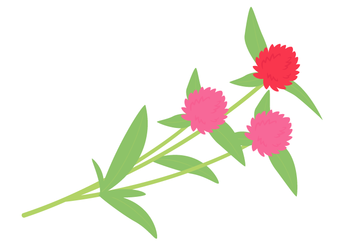 センニチコウの花 無料のフリーイラスト素材集