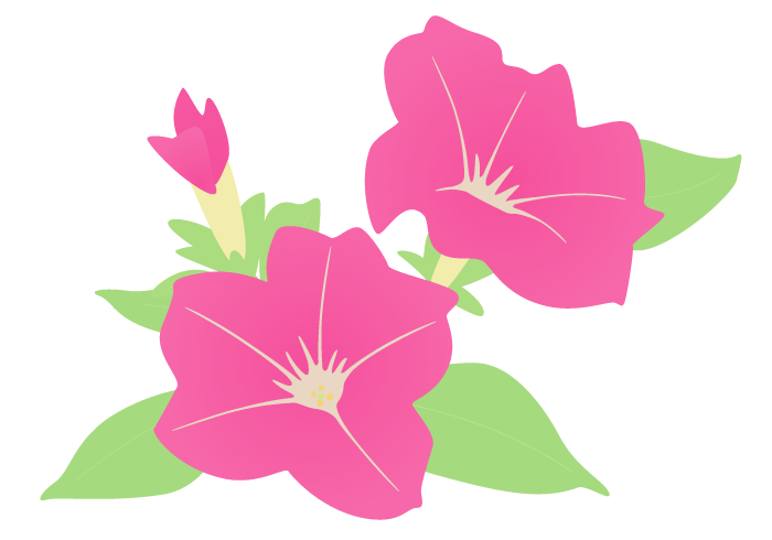 ペチュニアの花 かわいい無料のフリーイラスト素材集