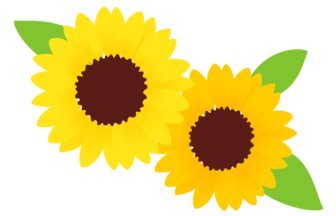 
ヒマワリ（向日葵）
