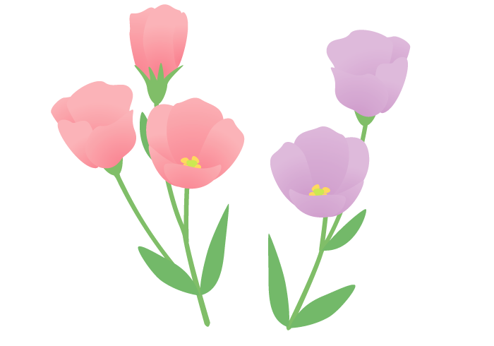 トルコギキョウの花 かわいい無料のフリーイラスト素材集