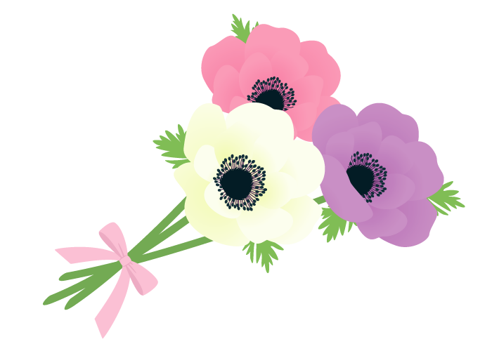 アネモネの花 かわいい無料のフリーイラスト素材集