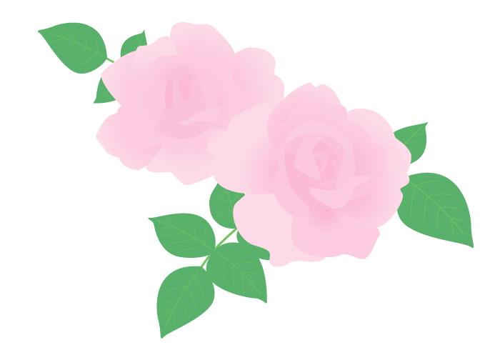 バラ 薔薇 美しい 無料のフリーイラスト素材集