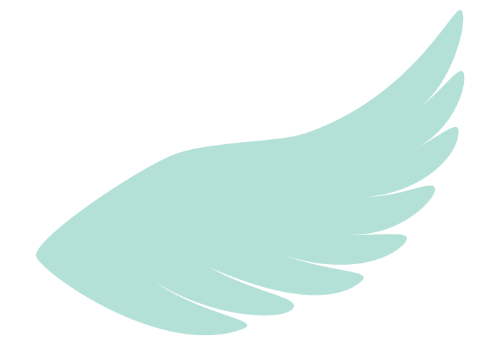 鳥の翼