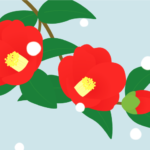 赤色のツバキ（椿）と雪の風景