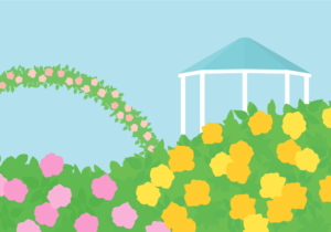 バラ（薔薇）の風景（バラの庭園）