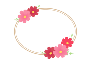 秋の花の楕円形フレーム（コスモス）