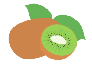 キウイフルーツ（グリーンキウイ）