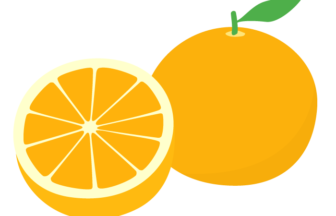 ミカン（蜜柑）・オレンジ（輪切り）