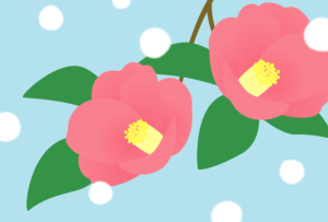 冬のミニポスターはがき（横向き：ツバキの花）