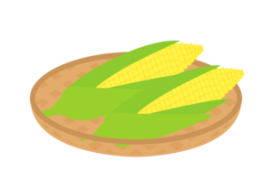 トウモロコシ（玉蜀黍）