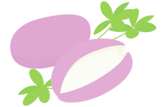 アケビ（木通）