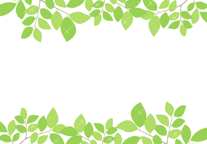 上下枠（緑装飾）