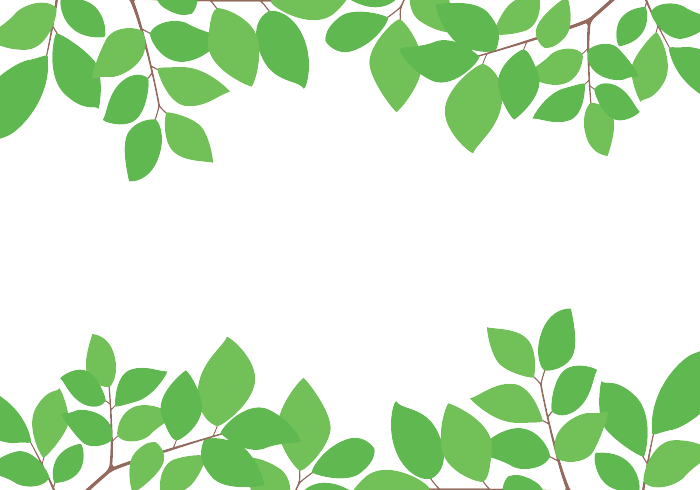 上下枠（緑装飾）