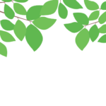上部装飾枠（緑装飾）